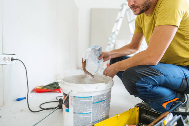 Best Mold Remediation for Healthcare Facilities  in Seneca, MO