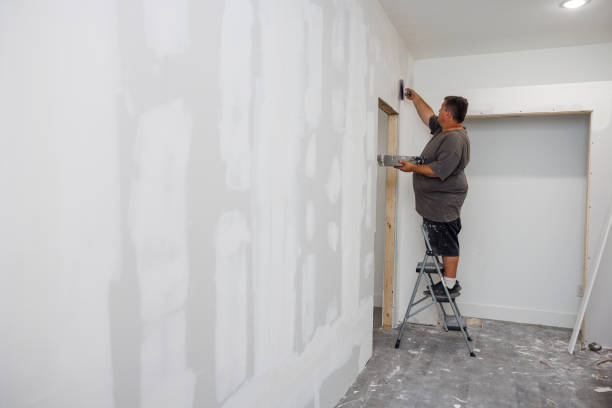Mold Documentation for Insurance Claims in Seneca, MO