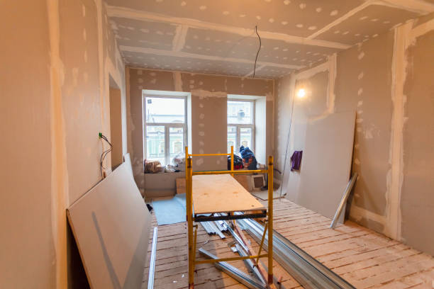 Best Industrial Mold Remediation  in Seneca, MO